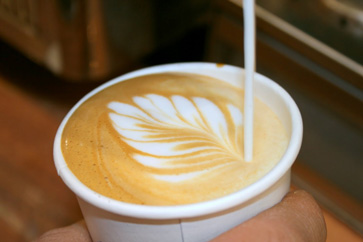 kaffee-schaumblume