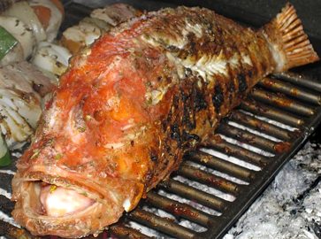 kulinarisches-highlight-fisch